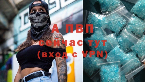 сатива Балахна