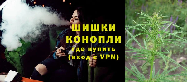 шишки Баксан